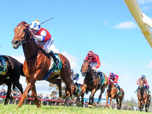 BlackJack and Lo Duca's Gulfstream Park Pick Six. Carryover is Over $290K