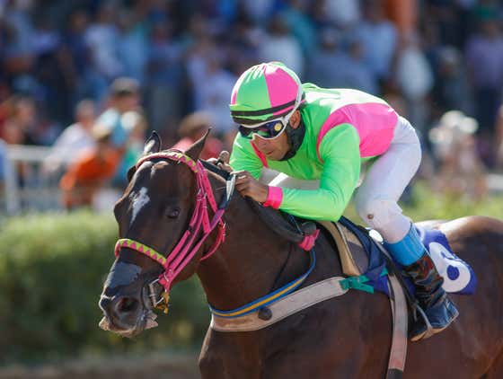BlackJack's Parx Pick Four PLUS MNF Pick