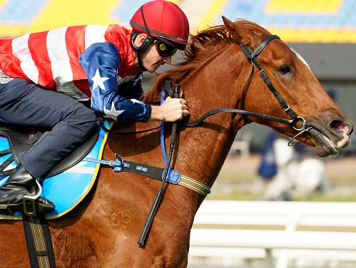 BlackJack's Holiday Parx Pick Four + Bonus Picks (UPDATE: Parx is Cancelled, Turf Paradise Ticket Included)