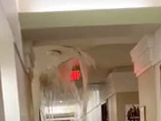 When Girls Hear The Word “Brunch”