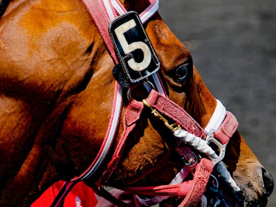 BlackJack's Sam Houston Late Pick Four Ticket