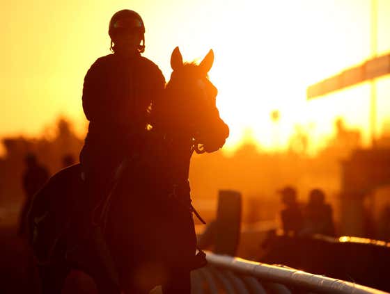 We've Got A Nice Little Pick Six Ticket at Charles Town Tonight