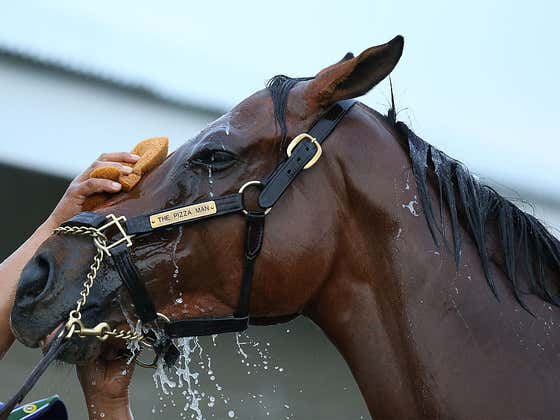 BlackJack and Lo Duca’s Tuesday Pick Four