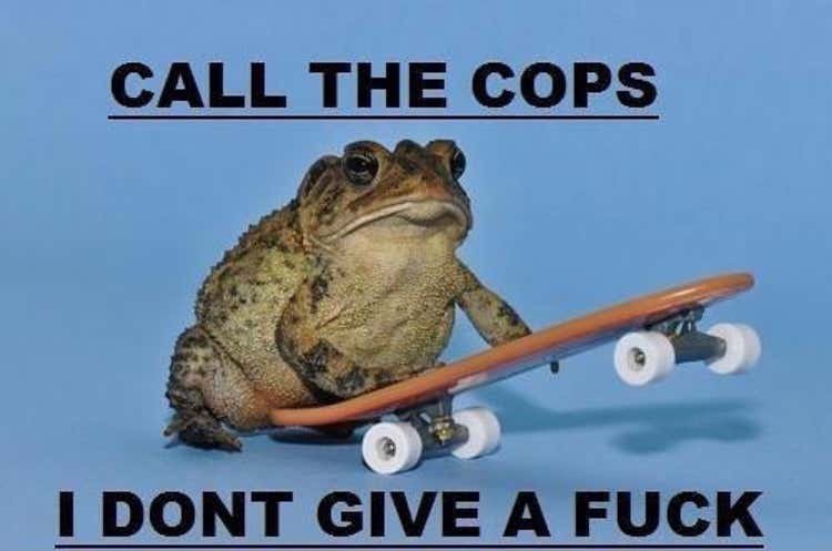 No Ads Needed in this Video