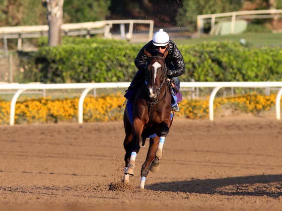 We’re Going To Gulfstream Park For Our Third Play of the Day