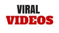 Brandon Walker's Top Viral Videos Ever