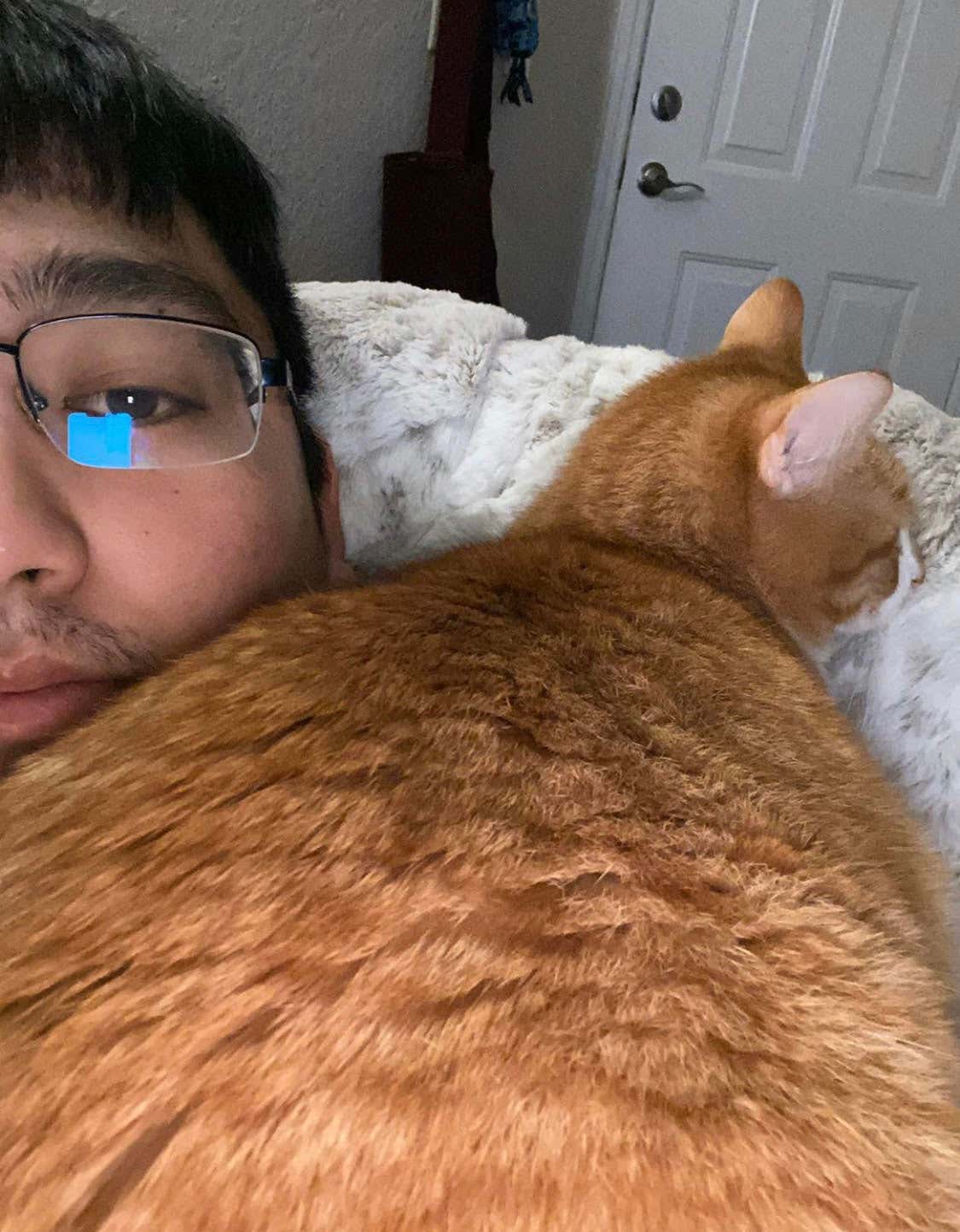 SELFISOLATING SMOKESHOWS VOLUME I SMOLDERING STOOLIES EDITION