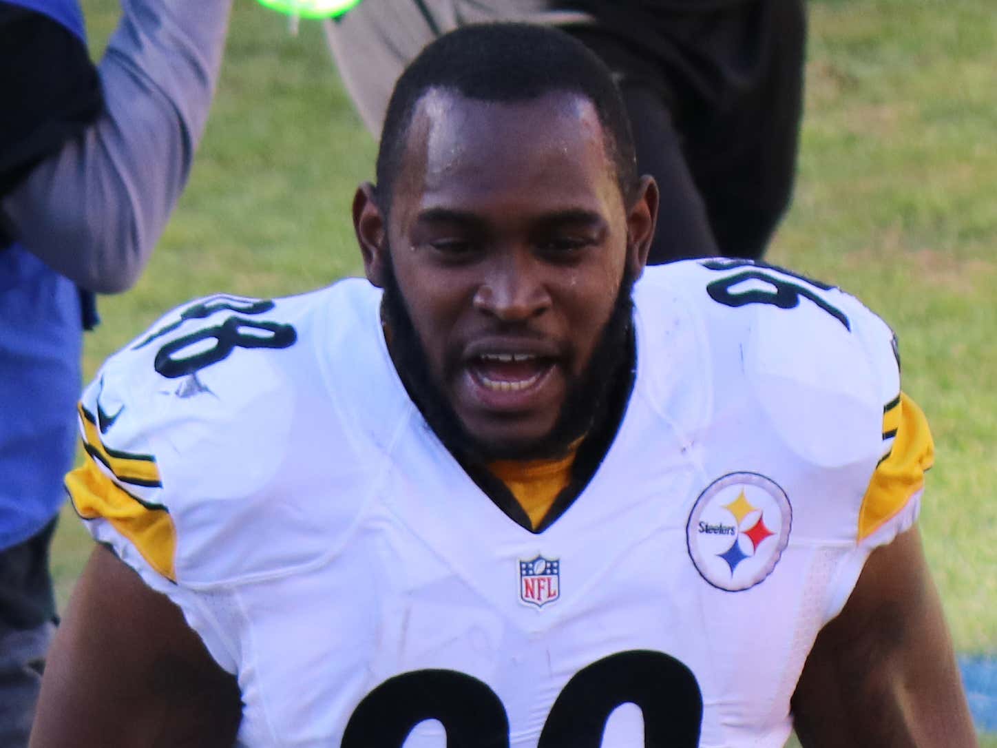 Steelers Fans Remember Vince Williams Intercepting Tom ...