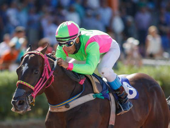 BlackJack and Lo Duca Have Racing Tickets To Get You Through The Day
