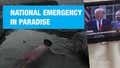 NATIONAL EMERGENCY IN PARADISE | DONNIE BAHAMAS EPISODE 2
