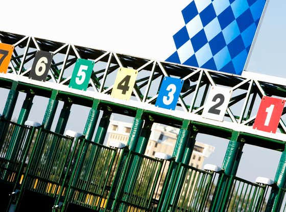 We've Got Tickets For Tampa and Will Rogers' Downs This Afternoon, Let's Do It