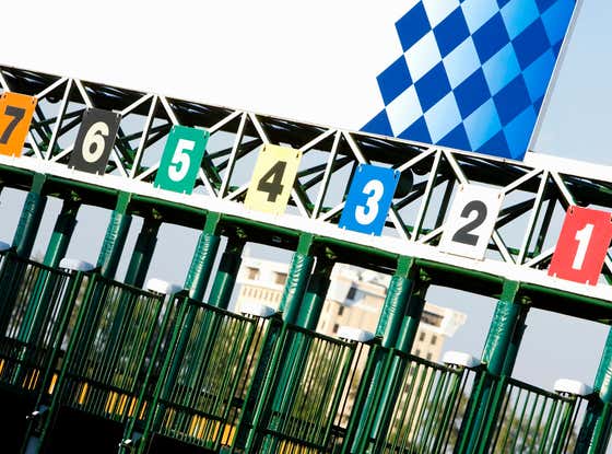 Let's Keep The Momentum Going and Look At The Early Pick Five At Tampa Today