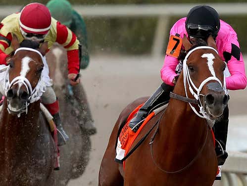 Let's Play The Late Pick Four at Oaklawn Park Today