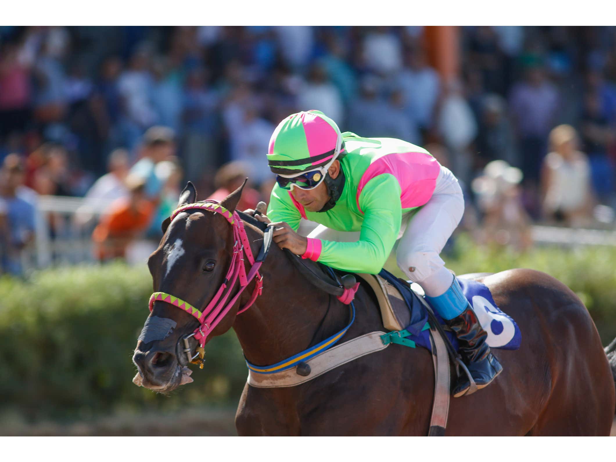 Photo Finish Is Now LIVE, Join Us As We Stream Racing Across The