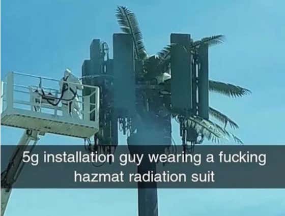 Woody Harrelson Says The 5G Network Is The Cause Of The Corona Virus, Plus Other Conspiracy Theories