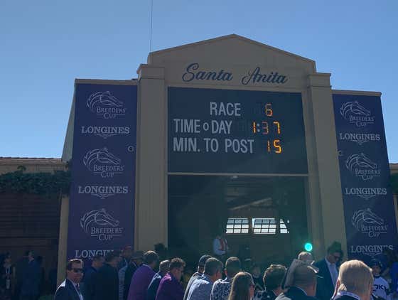 The New PET Scans at Santa Anita Park Are Going To Save Horses' Lives