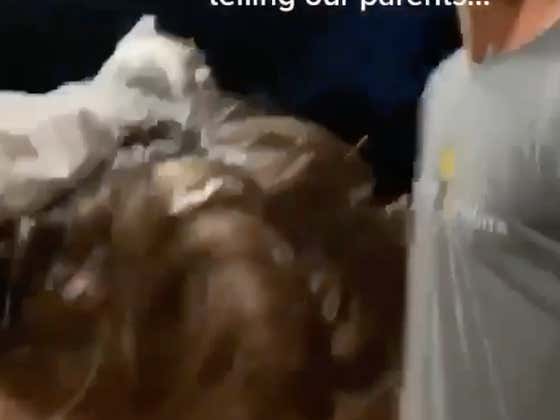 During Quarantine, A Majestic Mullet Was Born