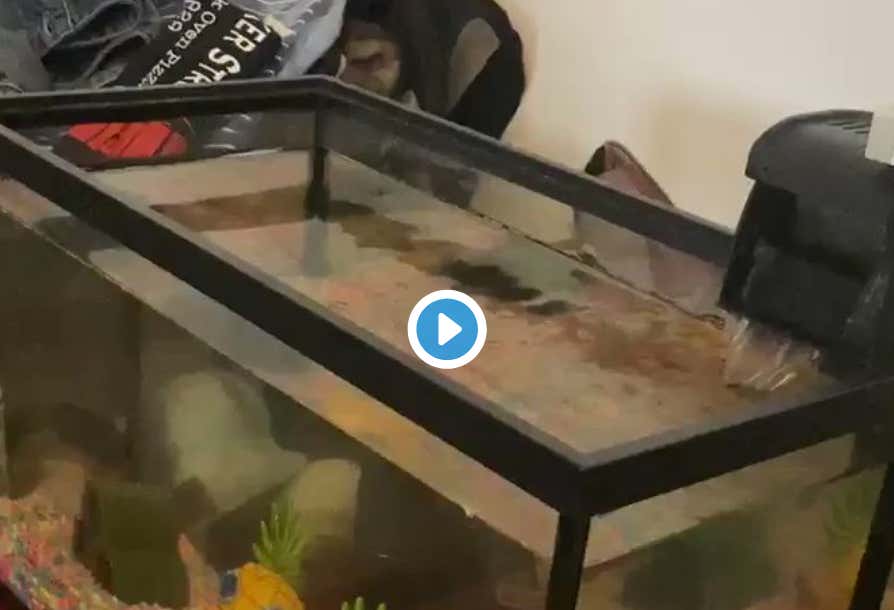 Did Randolph Try To Kill Himself?