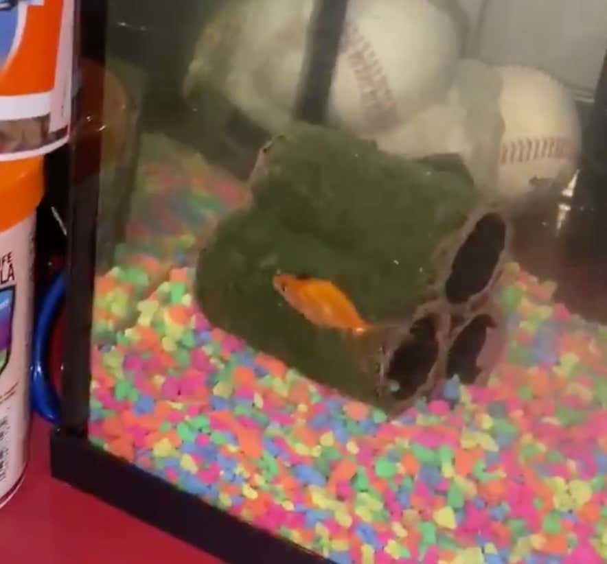 Randolph Is Back Home.