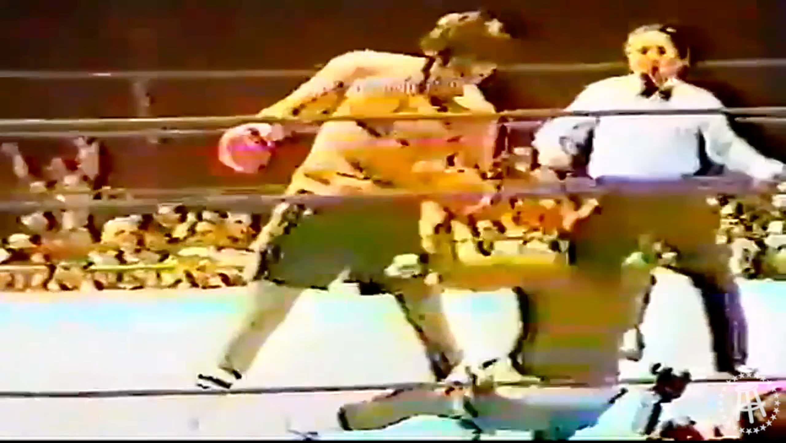 Heavyweight Gerry Cooney Highlight Remix