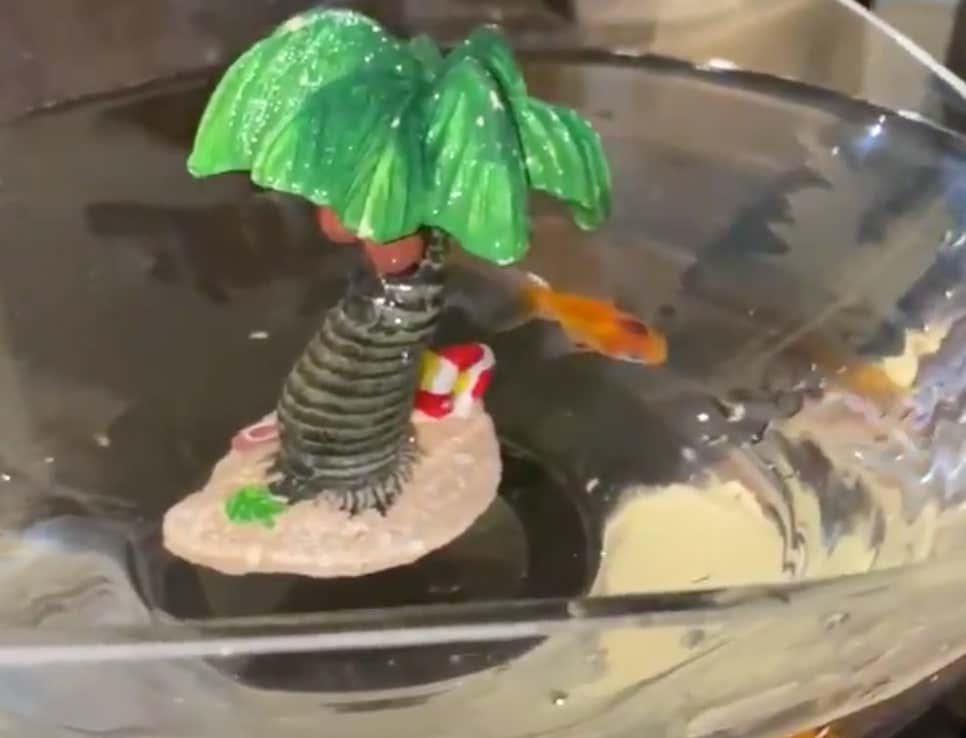 New Temp Vacation Home For Randolph