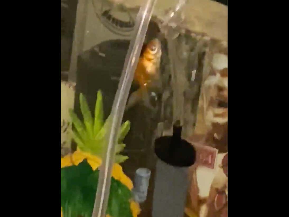 Do I Seem Concerned?  #ddtg