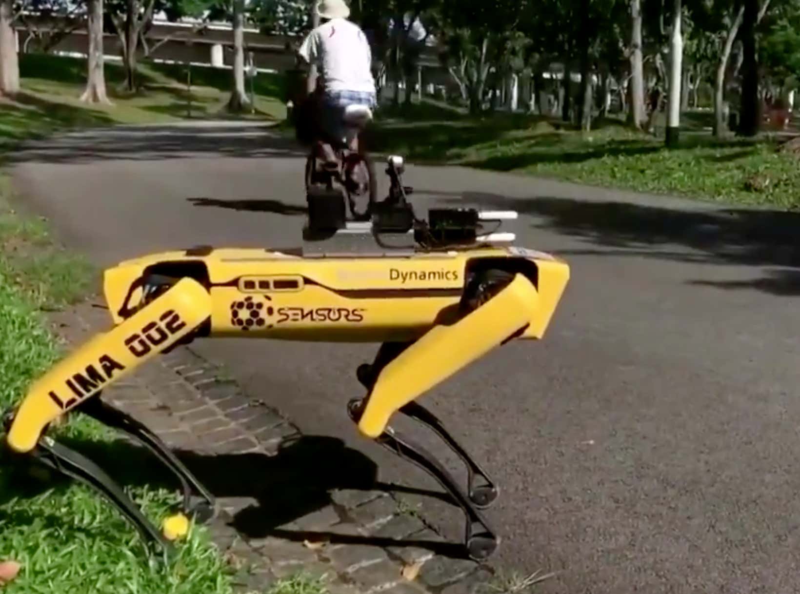 Robot Dogs Are Now Being Used In Singapore Parks To Remind People To