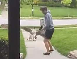 This Guy Not Defending His Dog From A Rogue Goose Is The Softest Move Of All Time