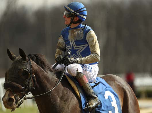 A Pick Five Farewell to Will Rogers + Tampa