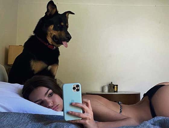 Someone Needs To Tell Emily Ratajkowski's Dog That It's Rude To Stare