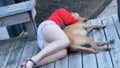 Whenever We See A Dog At A Party