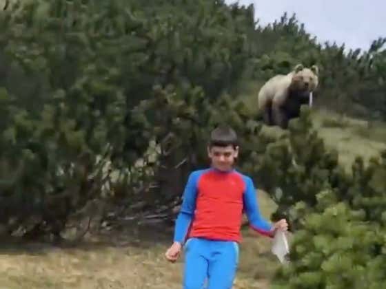 Cazzo Madre di Dio! A Large Bear Nearly Turns Italian Kid Into A Spicy Meataball!
