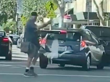 Forget Normalcy, Give Me This Video Of A Guy Laughing His Balls Off At Someone Walking Their Pet Goose