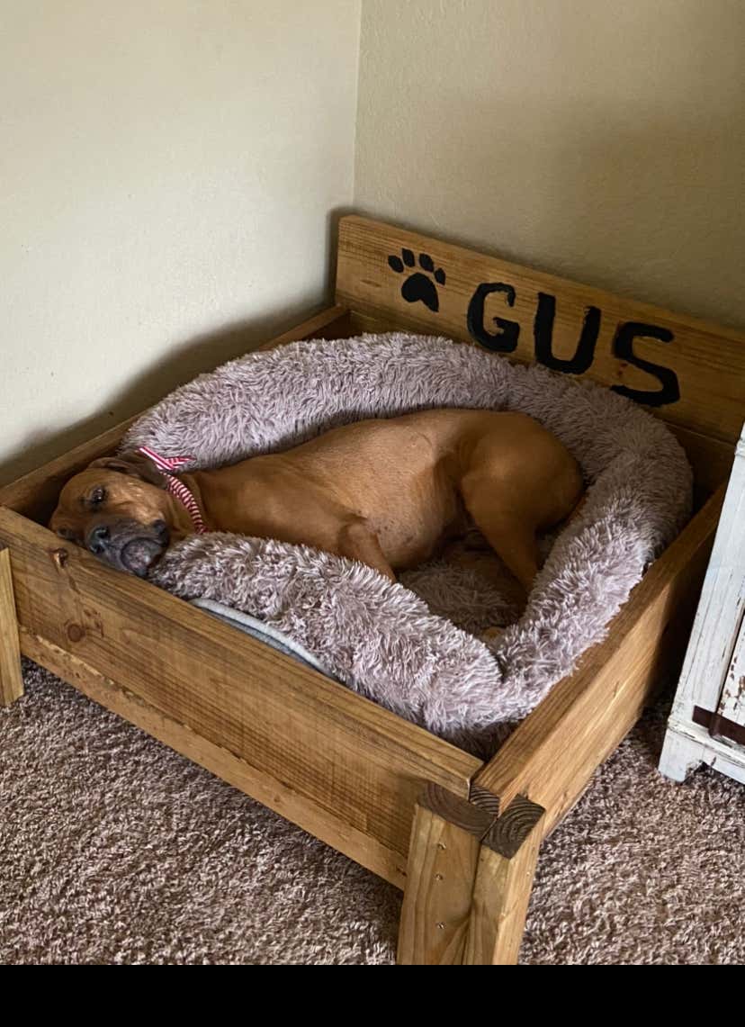 DIY Goofin: DOG BED FINISHED!