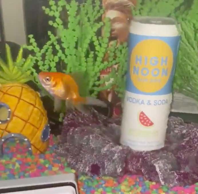 Happy Father's Day To All The Dads Out There