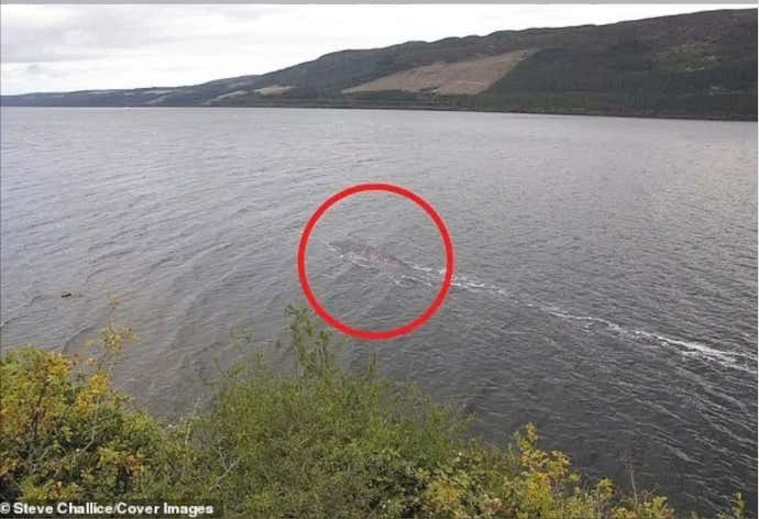 One Minute Man: The Lochness Monster Resurfaces