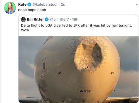 Bad Nose Job: Plane Makes Emergency Landing After Flying Through Hail Storm