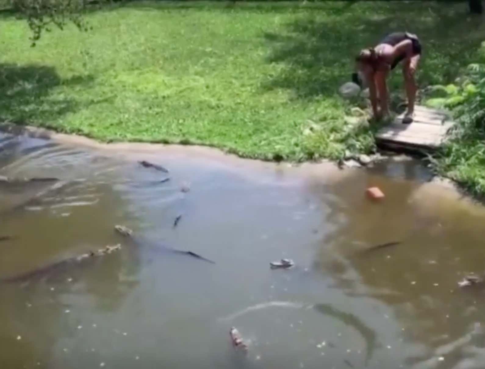 Watch This Insane Woman Reach Into an Alligator Pit to Retrieve Her Wallet Barstool Sports