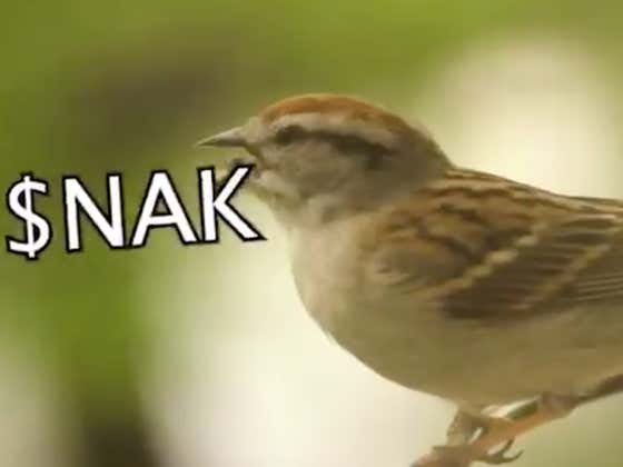 The Birds Have Spoken.