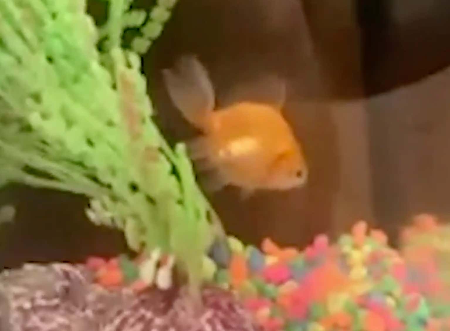 Good Morning Raaandolphhh