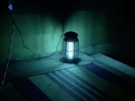 I Got A New Bug Zapper