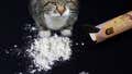 Hard Factor 8/4: Meet Hurricane Isaias, Drug Dealer Cat Arrested in Sri Lanka