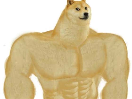 Wake Up With Bonzo, The Dog Who Carries A 30lb Dumbbell Wherever He Goes