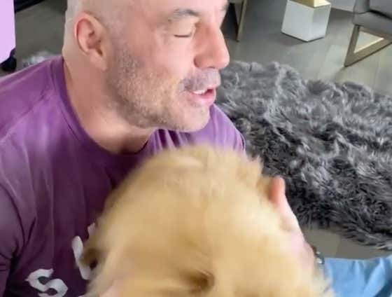 Feel Good Friday Video: Joe Rogan Petting His Very Excited Dog Marshall