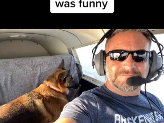 Dog Went Zero Gravity Mode