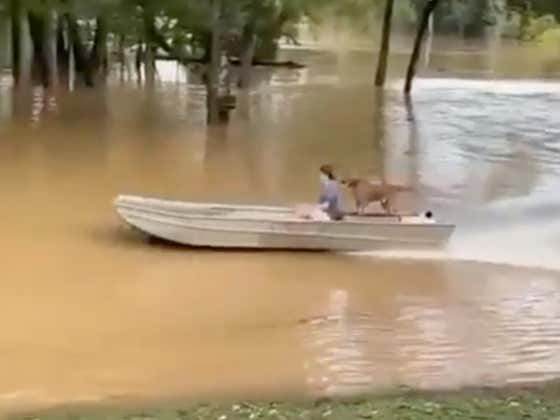 If This Dude Crashes With This Dog In The Boat We Can Never Forgive Him
