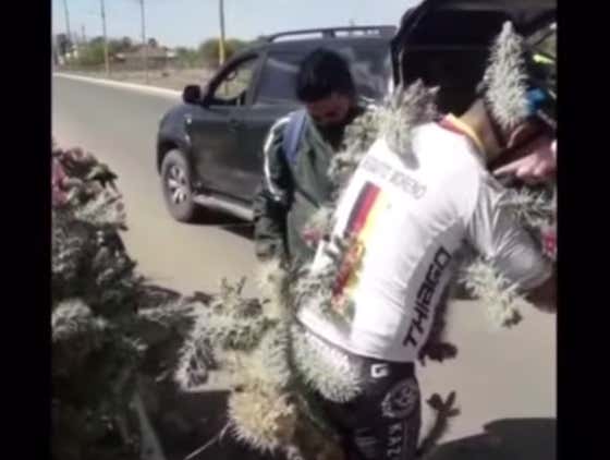 Cyclist Hits A Pothole Going Full Speed And Gets Absolutely BODIED By A Cactus