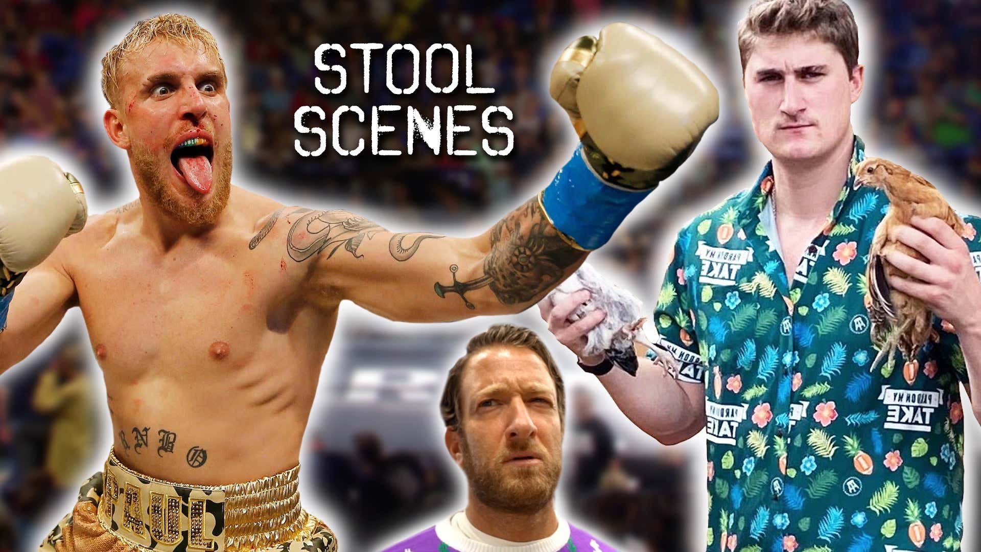 Stool Scenes 288 Billy Football Really Wants To Fight Jake Paul