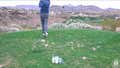 Riggs Vs Lookout Mountain Golf Course, 10th Hole