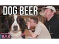 Lowering The Bar: Barstool Drinks Beer Brewed For Dogs